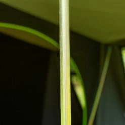 Zempire Atlas Tent -Shelters & Pavillions Shop zempire atlas tent 4